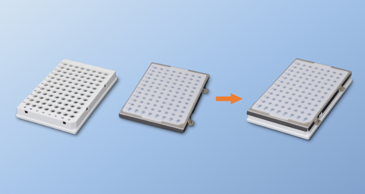 大象视颇dxvv55xyz